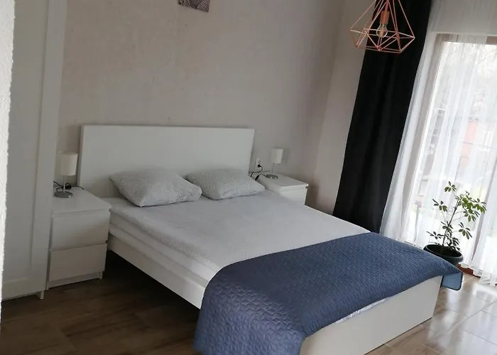 Casa Orhideea Gasthof 3*