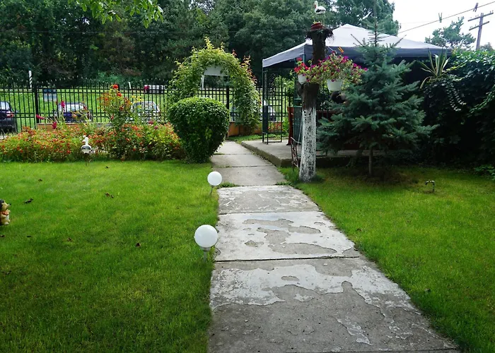 Gasthof Casa Orhideea