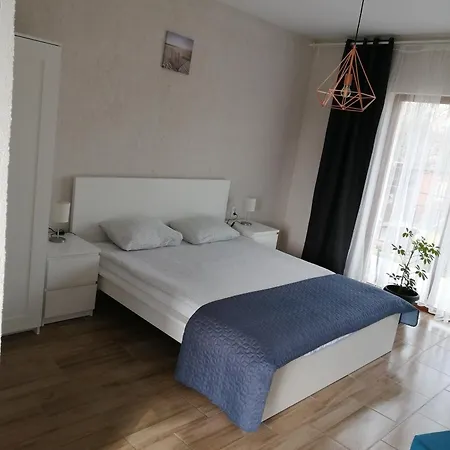 Casa Orhideea Guest house *
