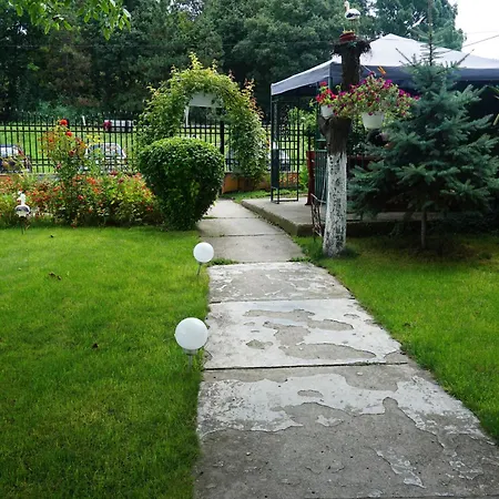 ゲストハウス Casa Orhideea