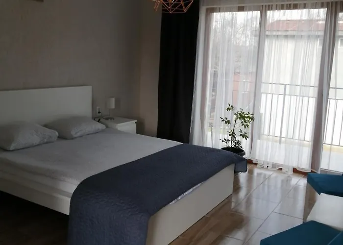 Pensiune Casa Orhideea Costineşti